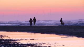 genieten aan het strand en Zee en kleuren.