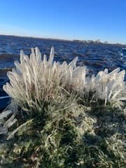 Koude wind en water