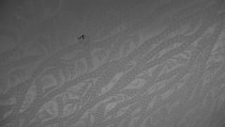 IJsvorming op raam met gevangen mug