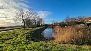 Vriendelijke bewolking en blauwelucht vanmiddag 14.15 uur