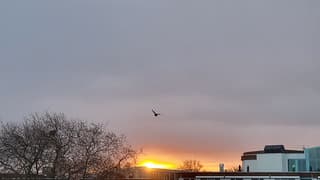 De zon komt heel even tevoorschijn 