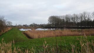 Blijft het landschap groen of komt er sneeuw