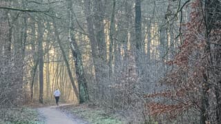 Hardlopen in de zon
