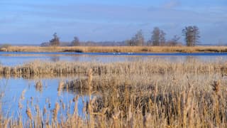Beulakerwijde in diepe winterrust