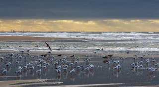 het laatste zonlicht van 2025
