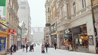 Veel sneeuw gevallen gisteren en vandaag 