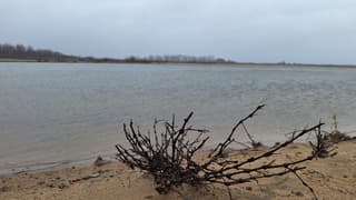 Nieuwjaarsconcert ochtend op de Millingerwaard.