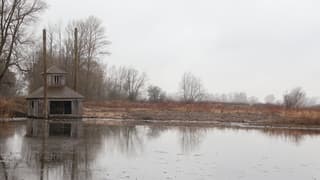 Ochtend op de Millingerwaard