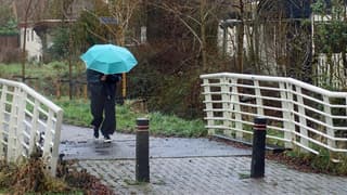 Regen en harde wind.