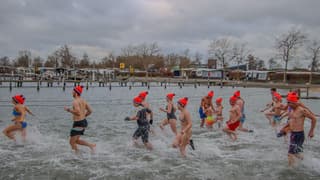 Nieuwjaarsduik Kortgene