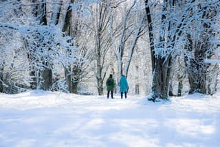 Wandelen in de sneeuw
