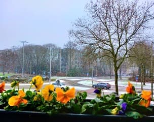 Beetje kleur in kleurloze wereld