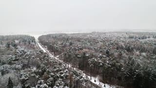 Sneeuw in het Bergherbos, Montferland