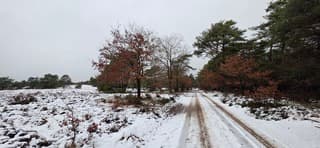 Toch nog wat kleur vandaag