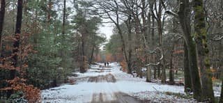 Mooie winterwandeling vandaag