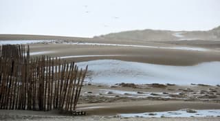witte strandduinen