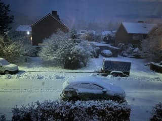 Sneeuw in Dieren