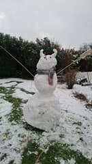 Snowdevil
