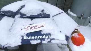 Sneeuwbuienradarparaplu