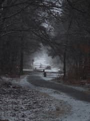 Sneeuw op de sallandse heuvelrug