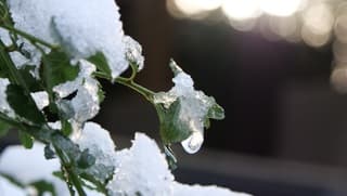 Smeltende sneeuw