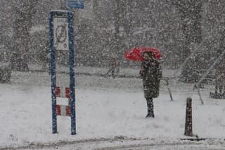 Vrouw tegen de sneeuw.