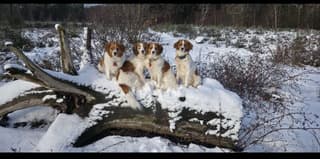 poseren in de sneeuw