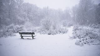 Bos Malden, Heemtuin.