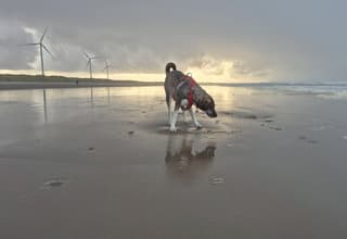 Lijkt wel avond (14 uur)