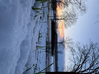 Winter foto 3-1-2026