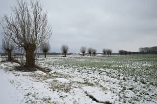 Sneeuw.