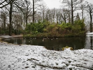 Sneeuw in het park Vreugde en Rust