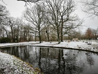 Sneeuw 