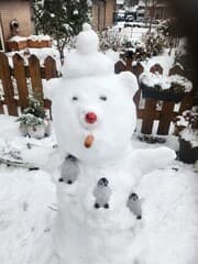 Sneeuw Beertje