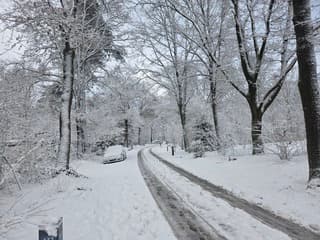 Winter bij Center Parcs de Limburgse Peel