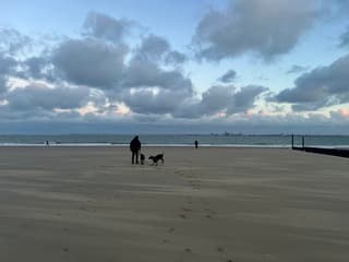 Ochtend aan zee