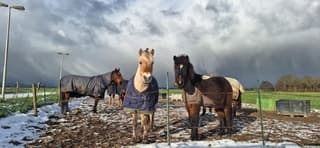 Sneeuwbui in aantocht