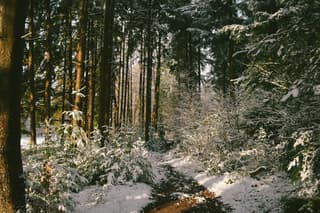 winter op landgoed tongeren