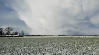 Sneeuwbui