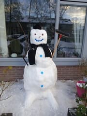 Harry de sneeuwpop