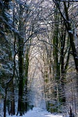 Winterwandeling