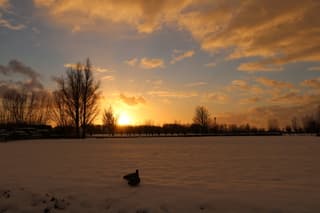Zonsondergang met winters weiland