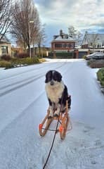 Heerlijk buiten spelen