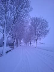 Sneeuw