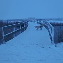 Winter in 2026