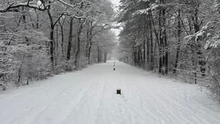 Sneeuw in Loosdrecht 