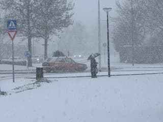 Eerste sneeuw in Bergen op Zoom