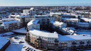 De bloem in de sneeuw