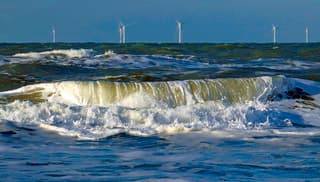Vanmiddag langs het strand 