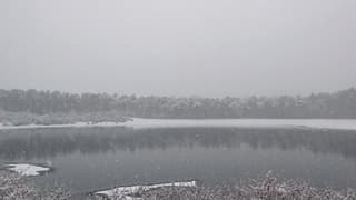 Erg grijs tijdens de sneeuwbui